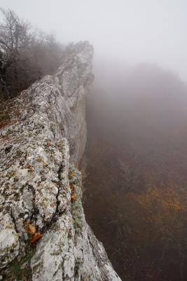 Прикрепленное изображение: A58DSC01651-1.jpg